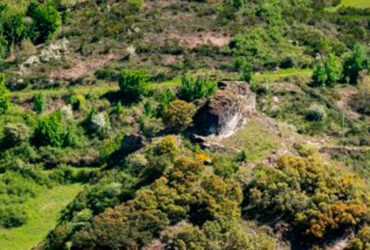 El CSIC inicia una cooperación científica con la Universidad Nacional An-Najah (Palestina) en el ámbito de la biotecnología forestal