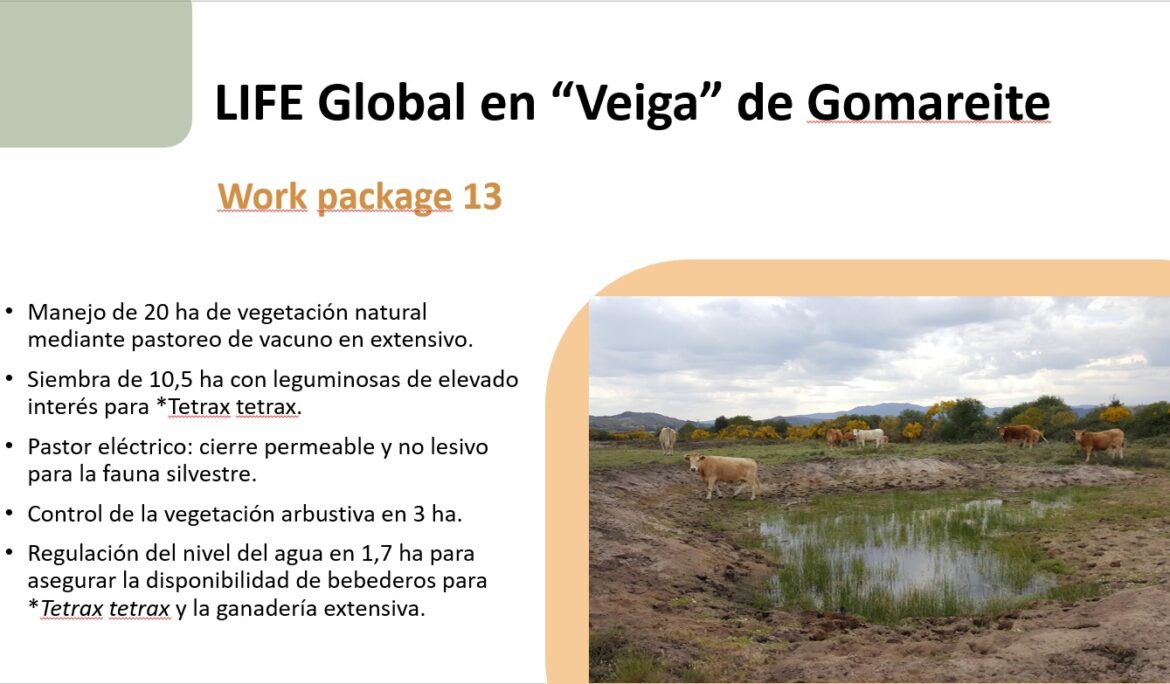 Life Global presenta sus acciones en el congreso Life Connect Ricotti