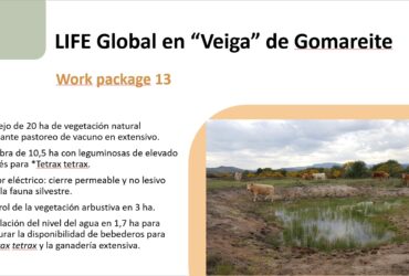 Life Global presenta sus acciones en el congreso Life Connect Ricotti